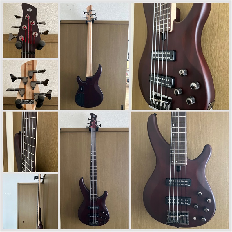 YAMAHA TRBX505 TBRの画像